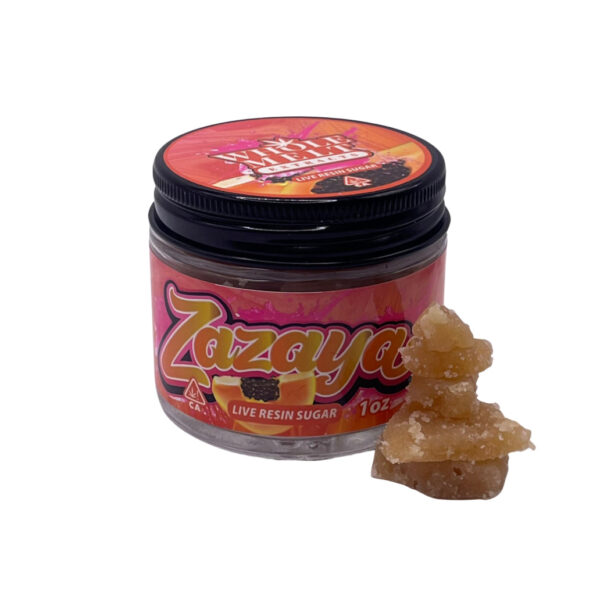 Zazaya | Oasis Edition